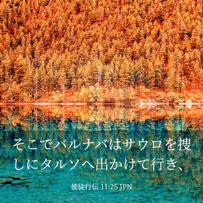 Picture 03 - 使徒行伝 11:25 JPN - そこでバルナバはサウロを捜しにタ - Bible Verse Picture