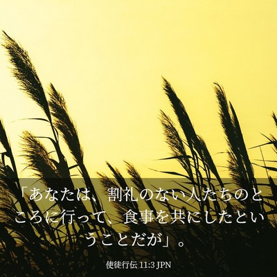 Picture 03 - 使徒行伝 11:3 JPN - 「あなたは、割礼のない人たちのと - Bible Verse Picture