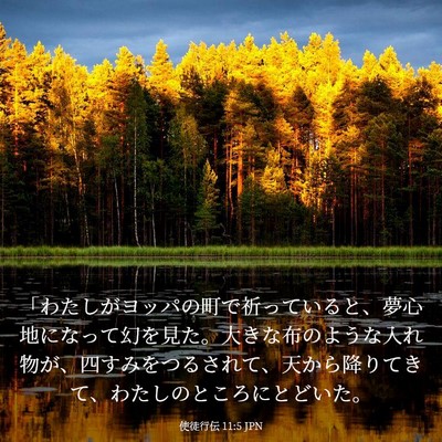 Picture 03 - 使徒行伝 11:5 JPN - 「わたしがヨッパの町で祈っている - Bible Verse Picture
