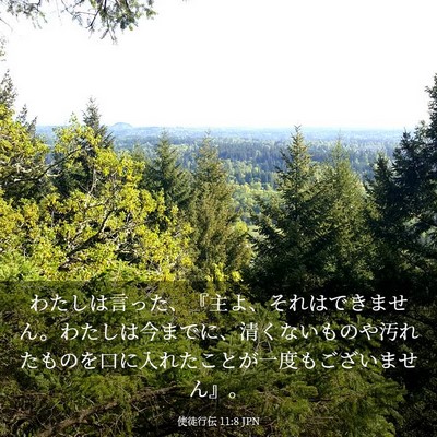 Picture 03 - 使徒行伝 11:8 JPN - わたしは言った、『主よ、それはで - Bible Verse Picture