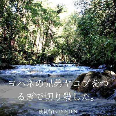 Picture 03 - 使徒行伝 12:2 JPN - ヨハネの兄弟ヤコブをつるぎで切り - Bible Verse Picture