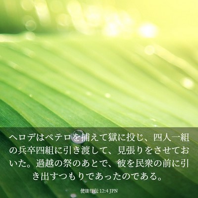 Picture 03 - 使徒行伝 12:4 JPN - ヘロデはペテロを捕えて獄に投じ、 - Bible Verse Picture