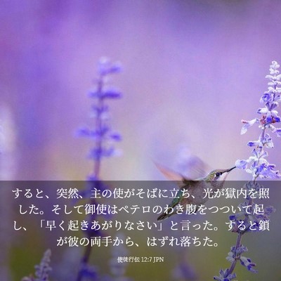 Picture 03 - 使徒行伝 12:7 JPN - すると、突然、主の使がそばに立ち - Bible Verse Picture