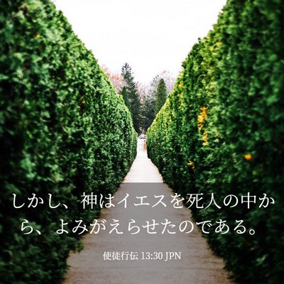 Picture 03 - 使徒行伝 13:30 JPN - しかし、神はイエスを死人の中から - Bible Verse Picture