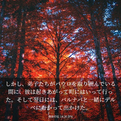 Picture 03 - 使徒行伝 14:20 JPN - しかし、弟子たちがパウロを取り囲 - Bible Verse Picture
