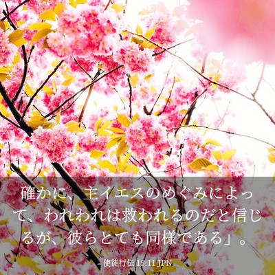 Picture 03 - 使徒行伝 15:11 JPN - 確かに、主イエスのめぐみによって - Bible Verse Picture