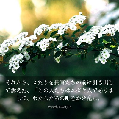 Picture 03 - 使徒行伝 16:20 JPN - それから、ふたりを長官たちの前に - Bible Verse Picture