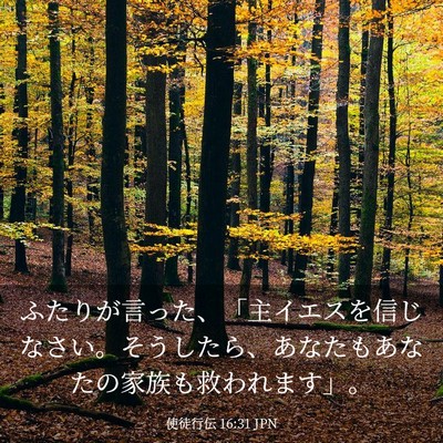 Picture 03 - 使徒行伝 16:31 JPN - ふたりが言った、「主イエスを信じ - Bible Verse Picture
