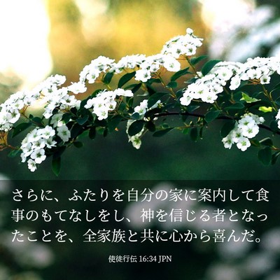 Picture 03 - 使徒行伝 16:34 JPN - さらに、ふたりを自分の家に案内し - Bible Verse Picture