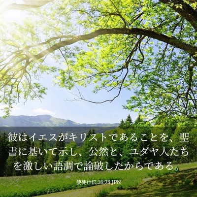 Picture 03 - 使徒行伝 18:28 JPN - 彼はイエスがキリストであることを - Bible Verse Picture
