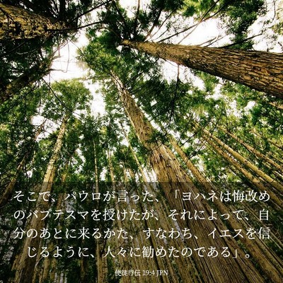 Picture 03 - 使徒行伝 19:4 JPN - そこで、パウロが言った、「ヨハネ - Bible Verse Picture