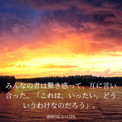 Picture 03 - 使徒行伝 2:12 JPN - みんなの者は驚き惑って、互に言い - Bible Verse Picture