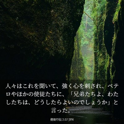 Picture 03 - 使徒行伝 2:37 JPN - 人々はこれを聞いて、強く心を刺さ - Bible Verse Picture