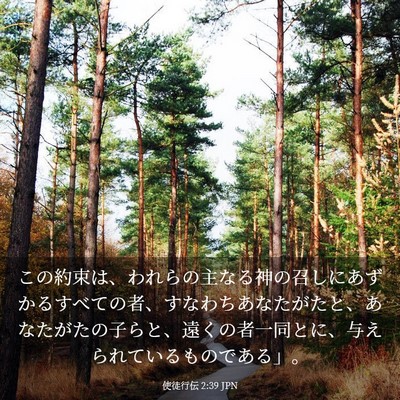 Picture 03 - 使徒行伝 2:39 JPN - この約束は、われらの主なる神の召 - Bible Verse Picture