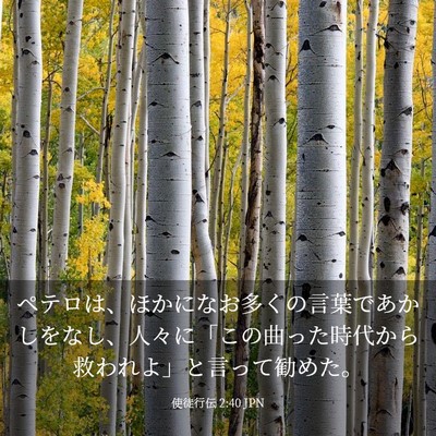 Picture 03 - 使徒行伝 2:40 JPN - ペテロは、ほかになお多くの言葉で - Bible Verse Picture