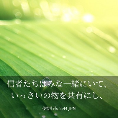 Picture 03 - 使徒行伝 2:44 JPN - 信者たちはみな一緒にいて、いっさ - Bible Verse Picture
