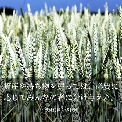 Picture 03 - 使徒行伝 2:45 JPN - 資産や持ち物を売っては、必要に応 - Bible Verse Picture