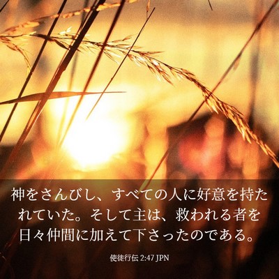 Picture 03 - 使徒行伝 2:47 JPN - 神をさんびし、すべての人に好意を - Bible Verse Picture