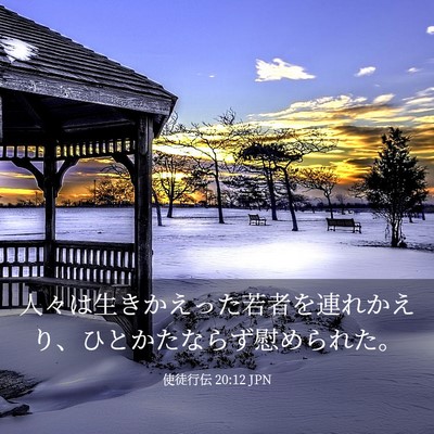 Picture 03 - 使徒行伝 20:12 JPN - 人々は生きかえった若者を連れかえ - Bible Verse Picture