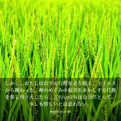 Picture 03 - 使徒行伝 20:24 JPN - しかし、わたしは自分の行程を走り - Bible Verse Picture