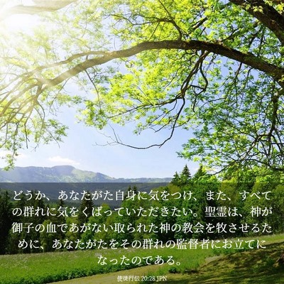 Picture 03 - 使徒行伝 20:28 JPN - どうか、あなたがた自身に気をつけ - Bible Verse Picture