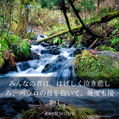 Picture 03 - 使徒行伝 20:37 JPN - みんなの者は、はげしく泣き悲しみ - Bible Verse Picture