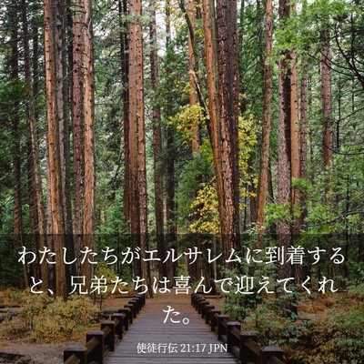Picture 03 - 使徒行伝 21:17 JPN - わたしたちがエルサレムに到着する - Bible Verse Picture