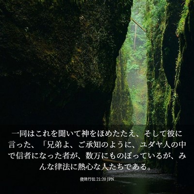 Picture 03 - 使徒行伝 21:20 JPN - 一同はこれを聞いて神をほめたたえ - Bible Verse Picture