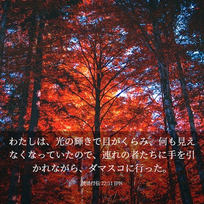 Picture 03 - 使徒行伝 22:11 JPN - わたしは、光の輝きで目がくらみ、 - Bible Verse Picture