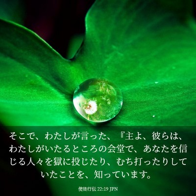 Picture 03 - 使徒行伝 22:19 JPN - そこで、わたしが言った、『主よ、 - Bible Verse Picture