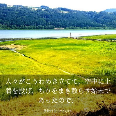 Picture 03 - 使徒行伝 22:23 JPN - 人々がこうわめき立てて、空中に上 - Bible Verse Picture