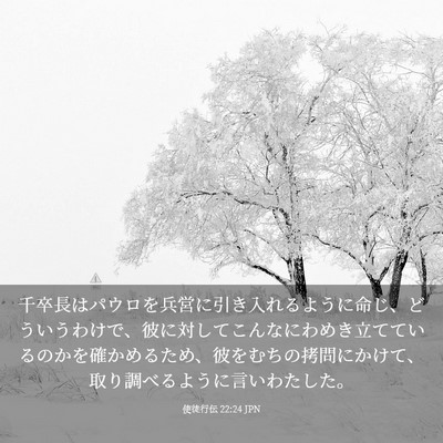 Picture 03 - 使徒行伝 22:24 JPN - 千卒長はパウロを兵営に引き入れる - Bible Verse Picture