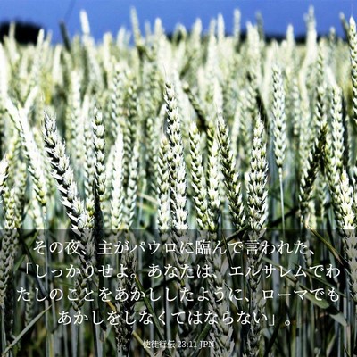 Picture 03 - 使徒行伝 23:11 JPN - その夜、主がパウロに臨んで言われ - Bible Verse Picture