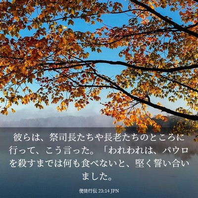 Picture 03 - 使徒行伝 23:14 JPN - 彼らは、祭司長たちや長老たちのと - Bible Verse Picture