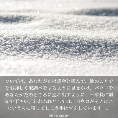 Picture 03 - 使徒行伝 23:15 JPN - ついては、あなたがたは議会と組ん - Bible Verse Picture