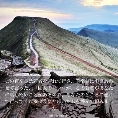 Picture 03 - 使徒行伝 23:18 JPN - この百卒長は若者を連れて行き、千 - Bible Verse Picture