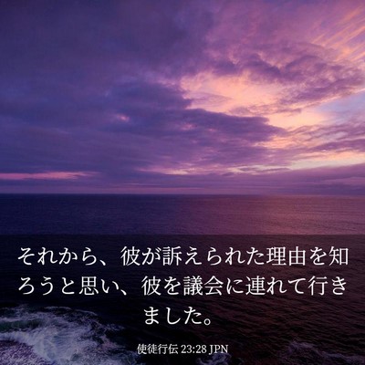 Picture 03 - 使徒行伝 23:28 JPN - それから、彼が訴えられた理由を知 - Bible Verse Picture
