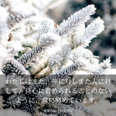 Picture 03 - 使徒行伝 24:16 JPN - わたしはまた、神に対しまた人に対 - Bible Verse Picture