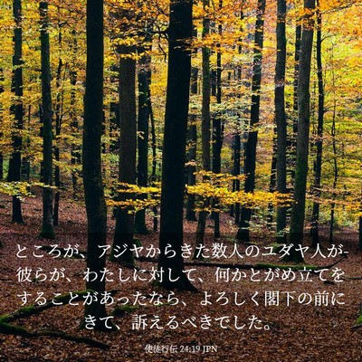 Picture 03 - 使徒行伝 24:19 JPN - ところが、アジヤからきた数人のユ - Bible Verse Picture