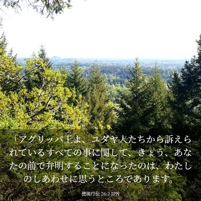 Picture 03 - 使徒行伝 26:2 JPN - 「アグリッパ王よ、ユダヤ人たちか - Bible Verse Picture