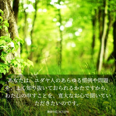 Picture 03 - 使徒行伝 26:3 JPN - あなたは、ユダヤ人のあらゆる慣例 - Bible Verse Picture