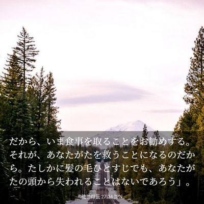 Picture 03 - 使徒行伝 27:34 JPN - だから、いま食事を取ることをお勧 - Bible Verse Picture