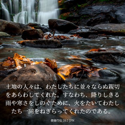 Picture 03 - 使徒行伝 28:2 JPN - 土地の人々は、わたしたちに並々な - Bible Verse Picture