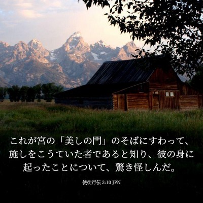 Picture 03 - 使徒行伝 3:10 JPN - これが宮の「美しの門」のそばにす - Bible Verse Picture