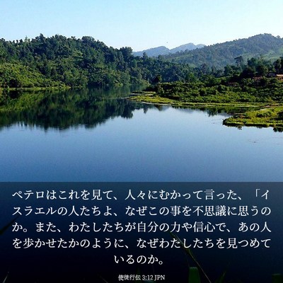 Picture 03 - 使徒行伝 3:12 JPN - ペテロはこれを見て、人々にむかっ - Bible Verse Picture