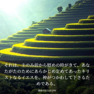 Picture 03 - 使徒行伝 3:20 JPN - それは、主のみ前から慰めの時がき - Bible Verse Picture