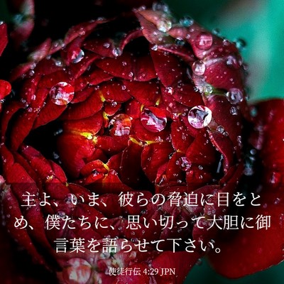 Picture 03 - 使徒行伝 4:29 JPN - 主よ、いま、彼らの脅迫に目をとめ - Bible Verse Picture