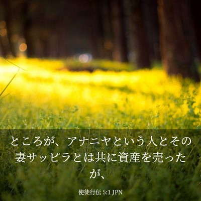 Picture 03 - 使徒行伝 5:1 JPN - ところが、アナニヤという人とその - Bible Verse Picture
