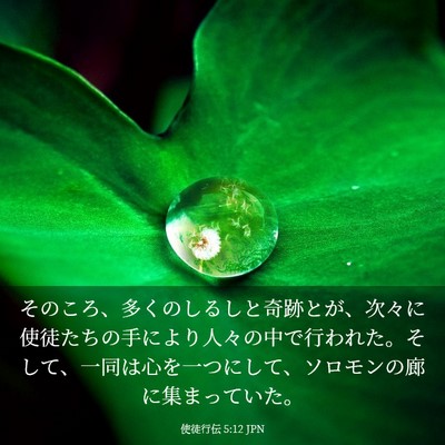 Picture 03 - 使徒行伝 5:12 JPN - そのころ、多くのしるしと奇跡とが - Bible Verse Picture