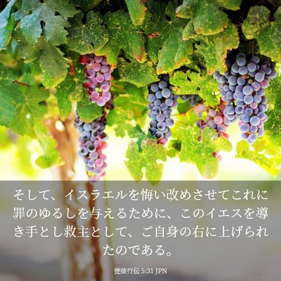 Picture 03 - 使徒行伝 5:31 JPN - そして、イスラエルを悔い改めさせ - Bible Verse Picture